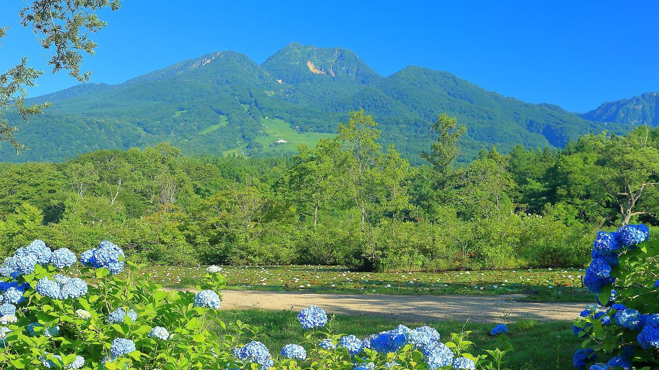 Ryokan Okayama Mioko Kültér fotó